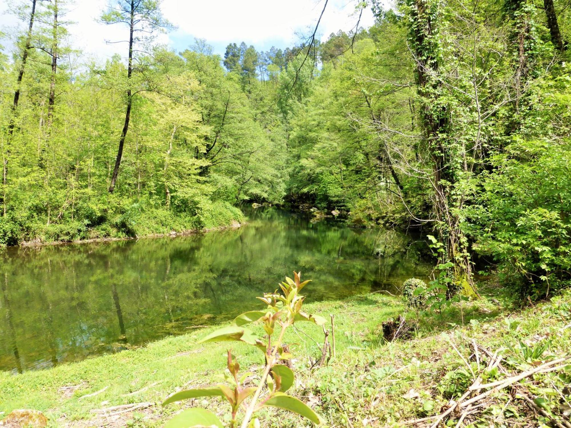 Chateau Du Fraissinet, 6 Gites Sleeping 2-8 Guests, Pool And River On Site La Tronche  Exterior photo